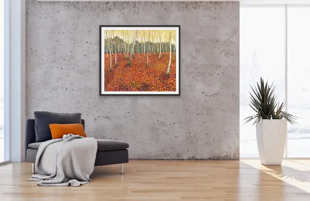 Autumn Birch Limited Edition Print