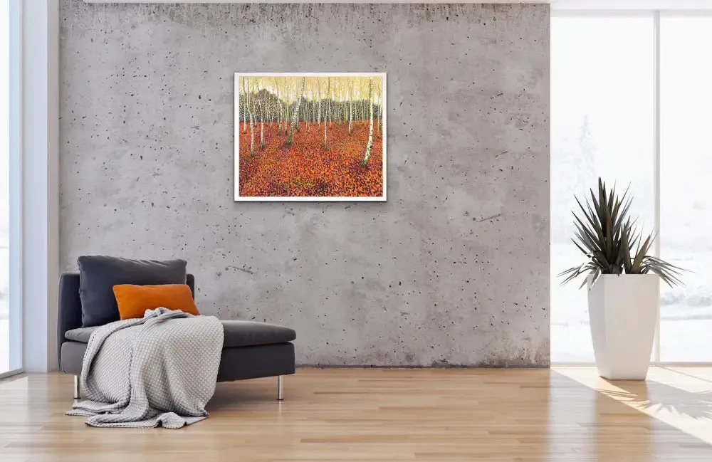 Autumn Birch Limited Edition Print