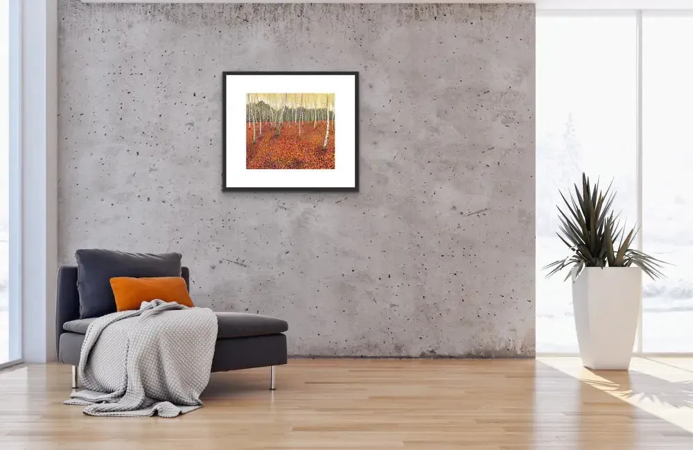 Autumn Birch Limited Edition Print