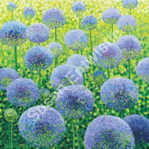 Azure Alliums Limited Edition Print
