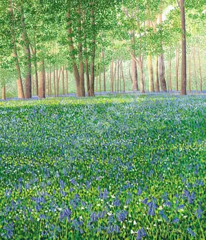 Bluebell Woods II Limited Edition Print.