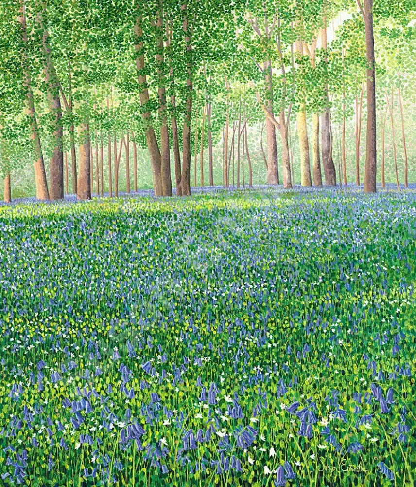 Bluebell Woods II Limited Edition Print.