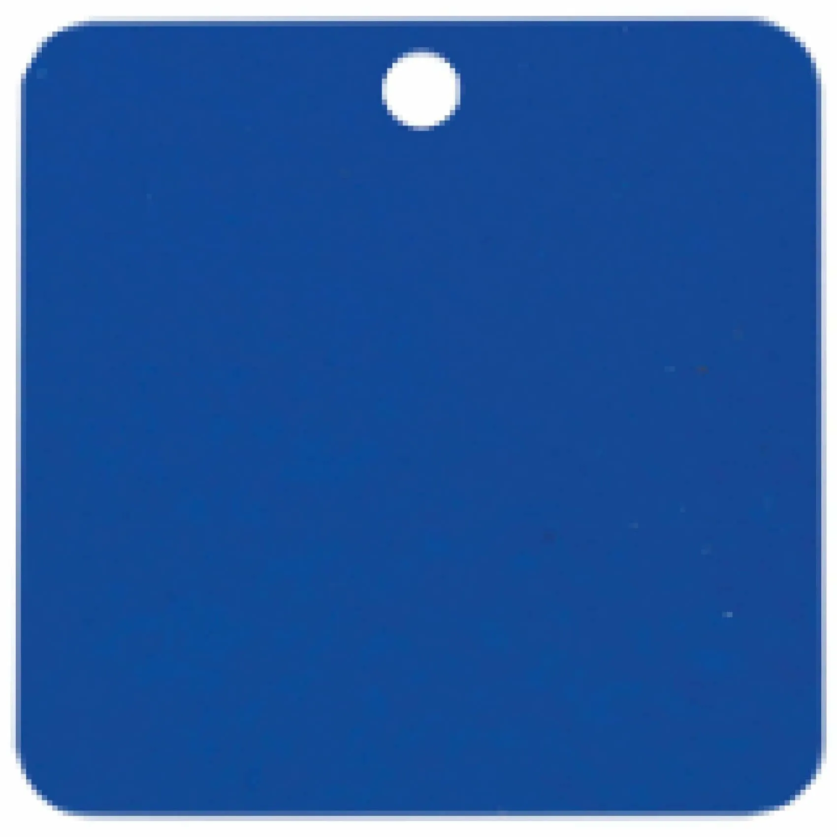 Charm or Pet Tag