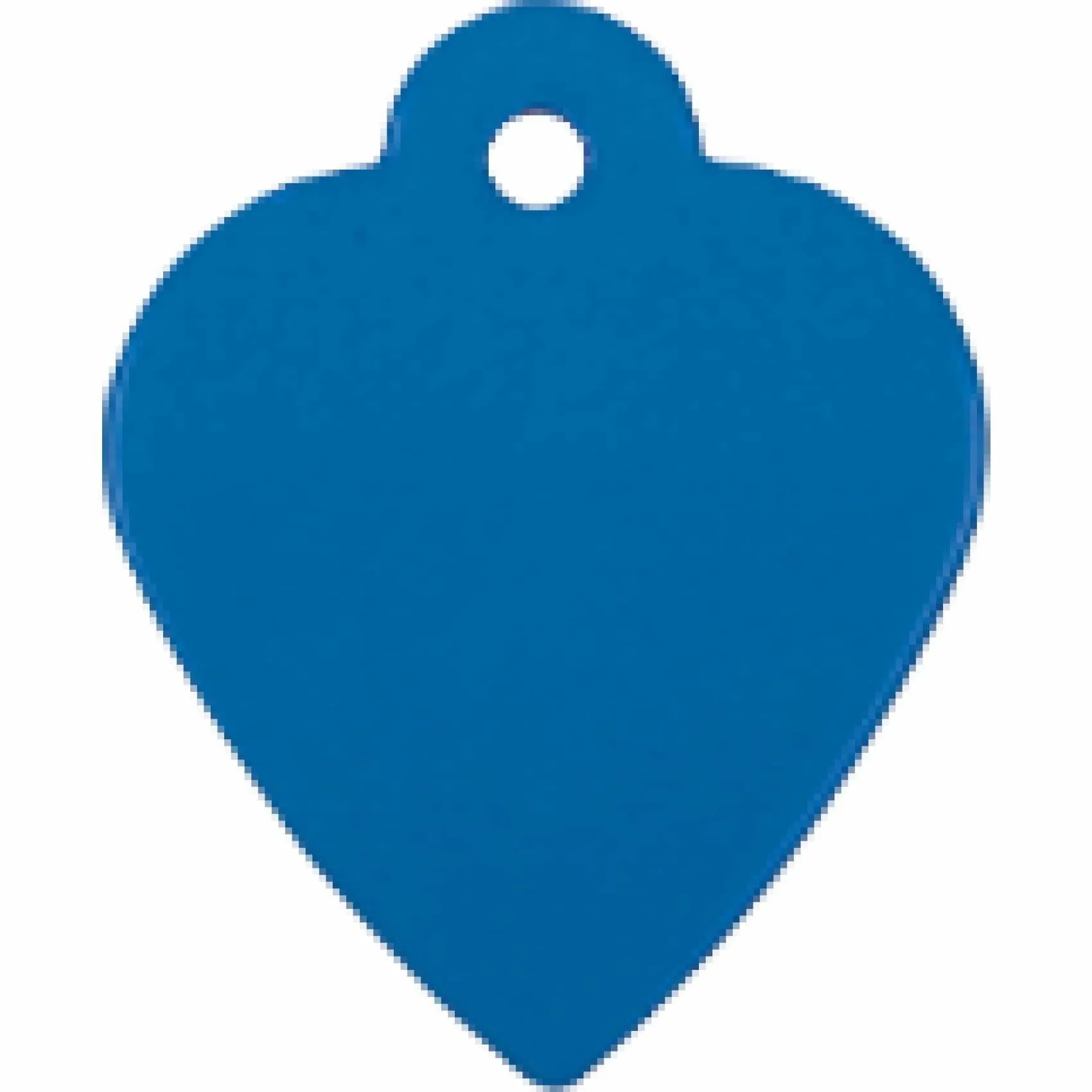 Charm or Pet Tag