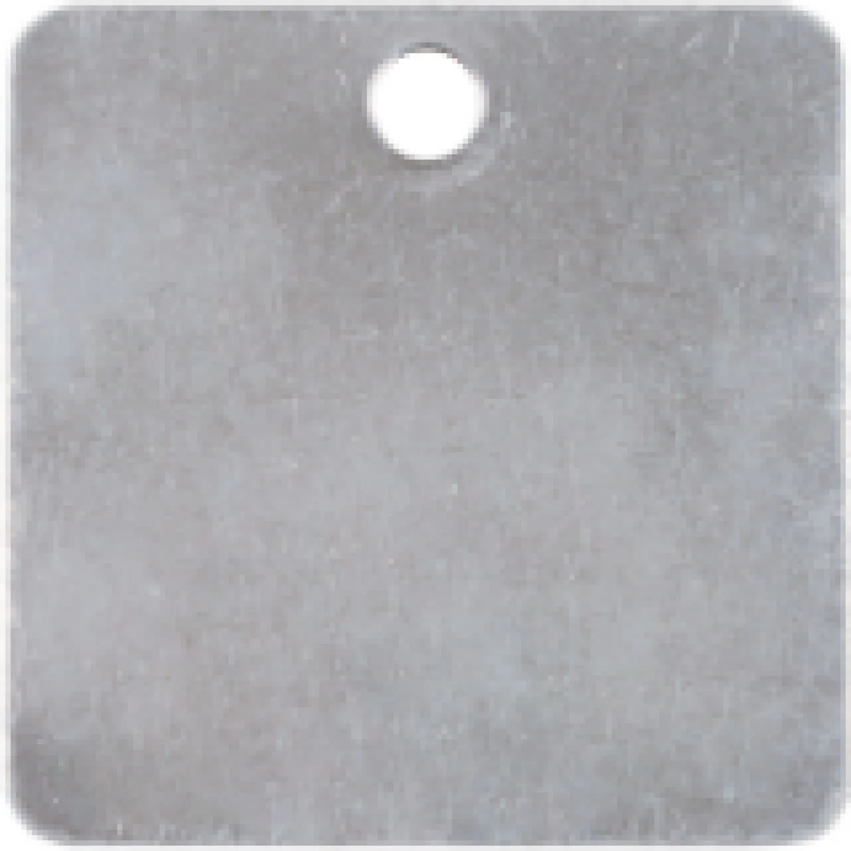Charm or Pet Tag