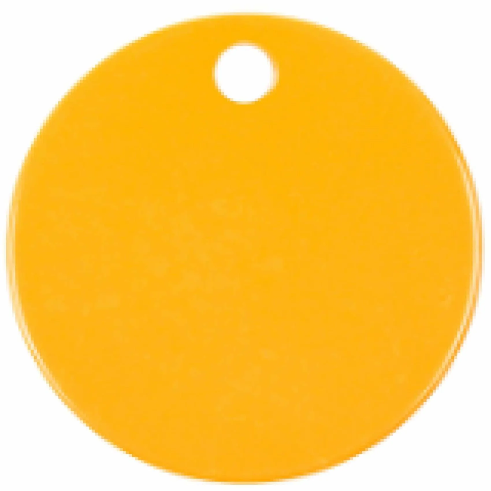 Charm or Pet Tag