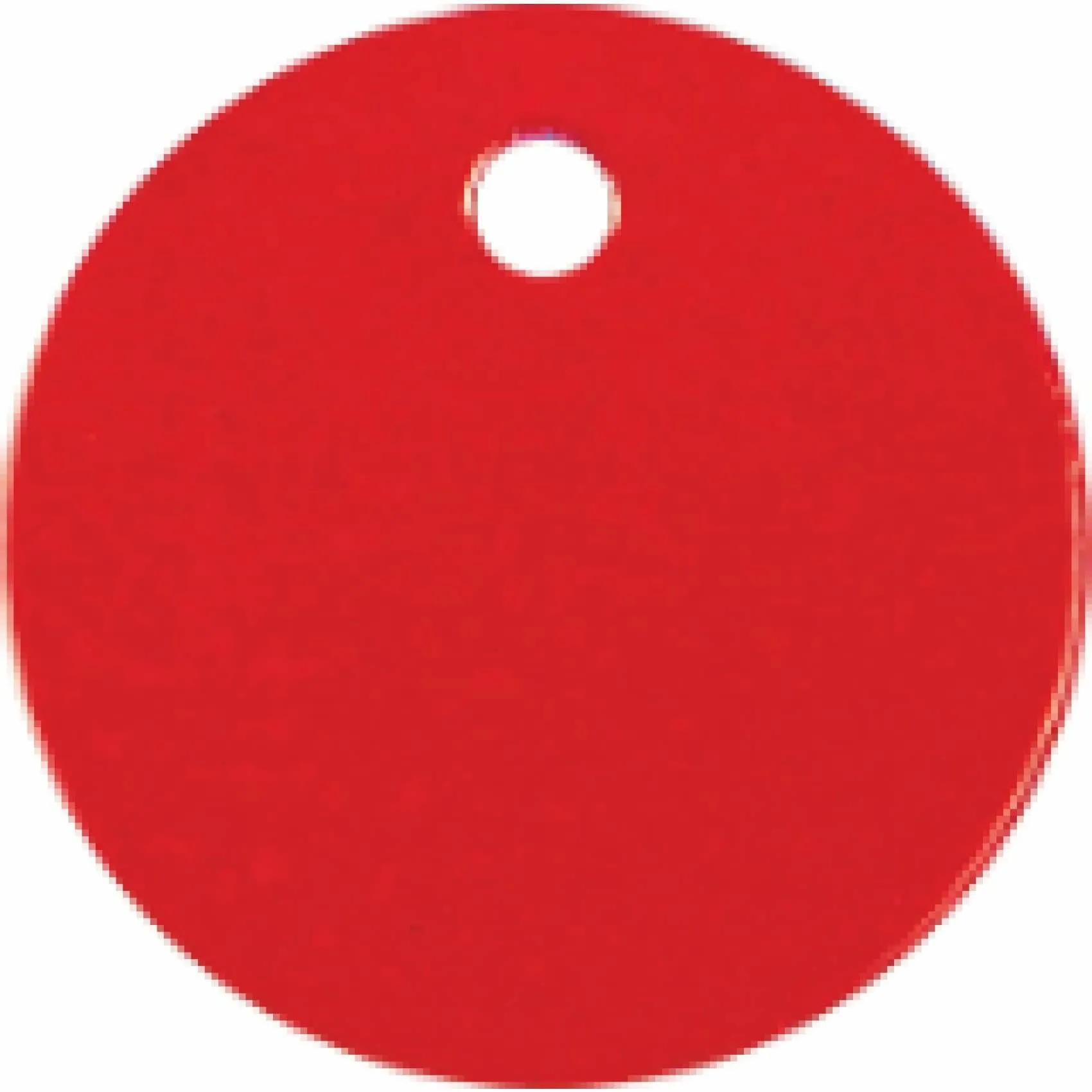 Charm or Pet Tag