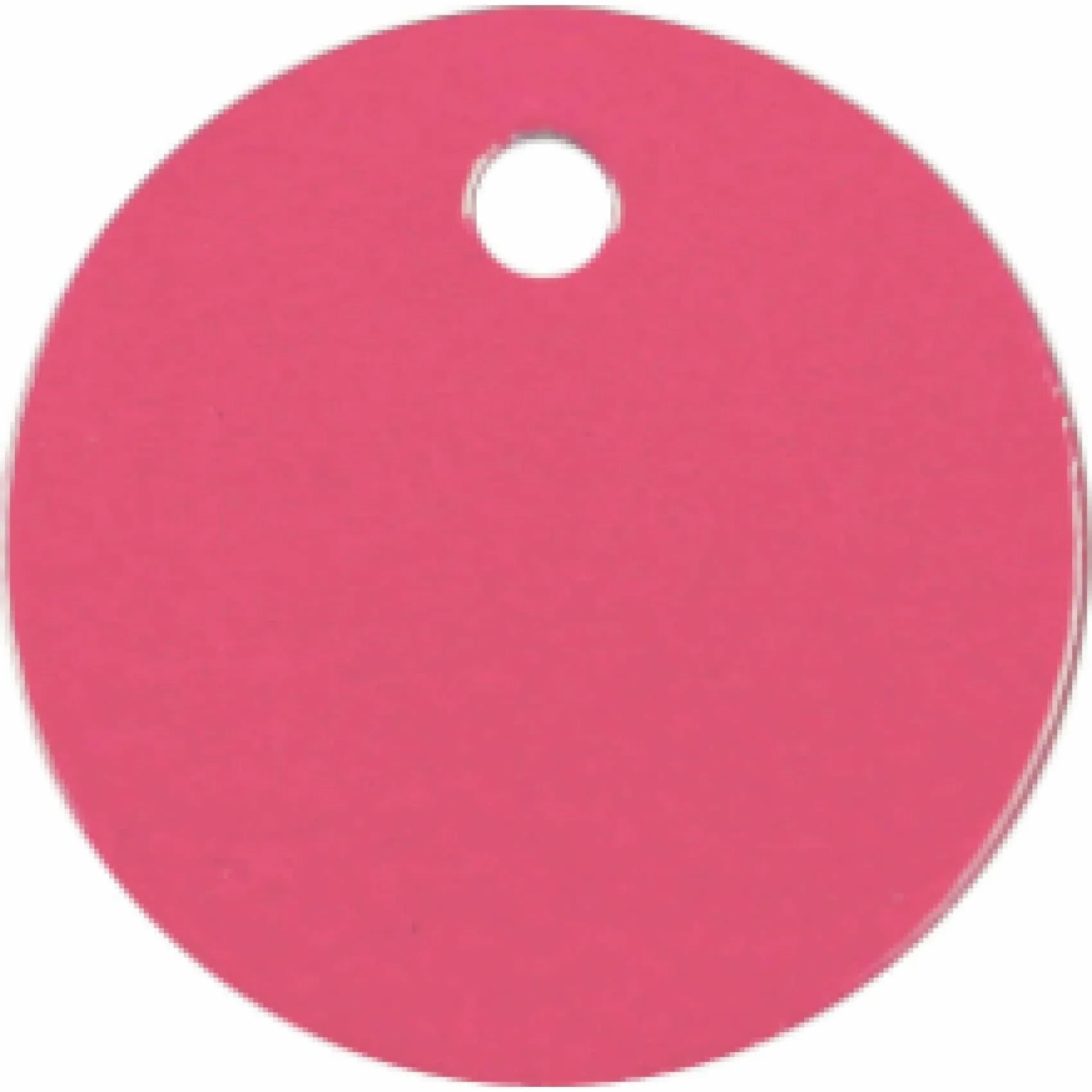 Charm or Pet Tag