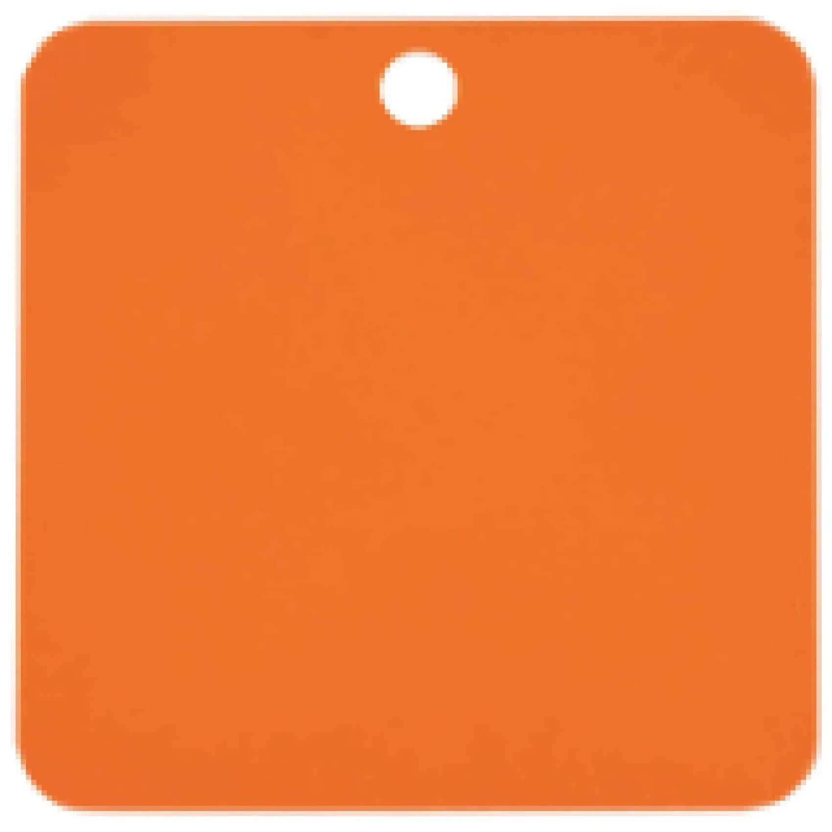 Charm or Pet Tag