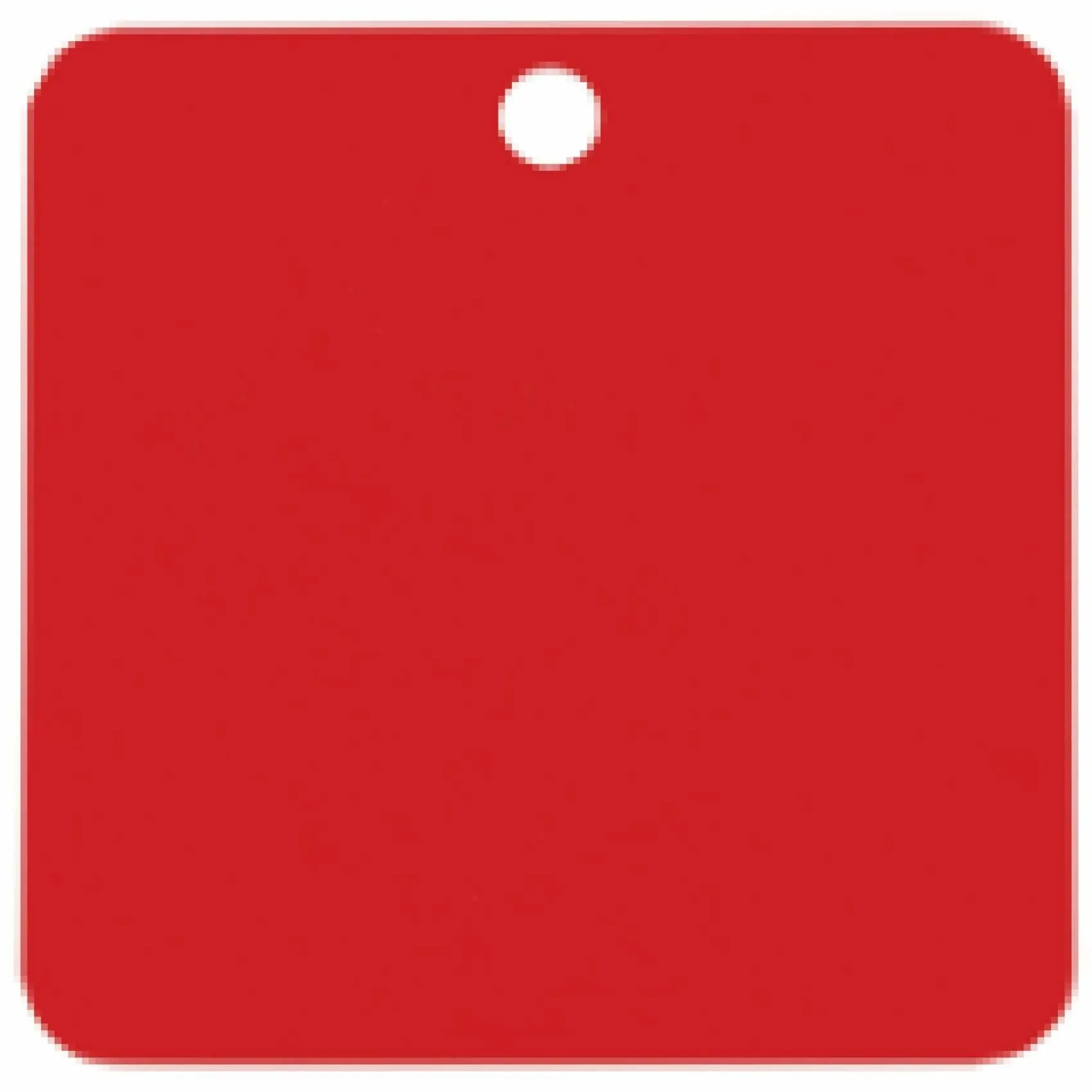 Charm or Pet Tag