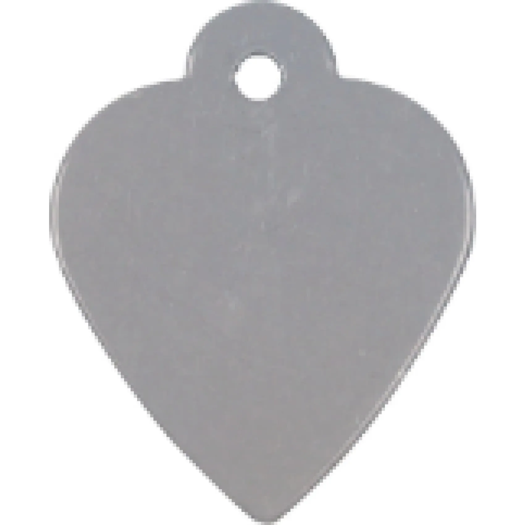 Charm or Pet Tag