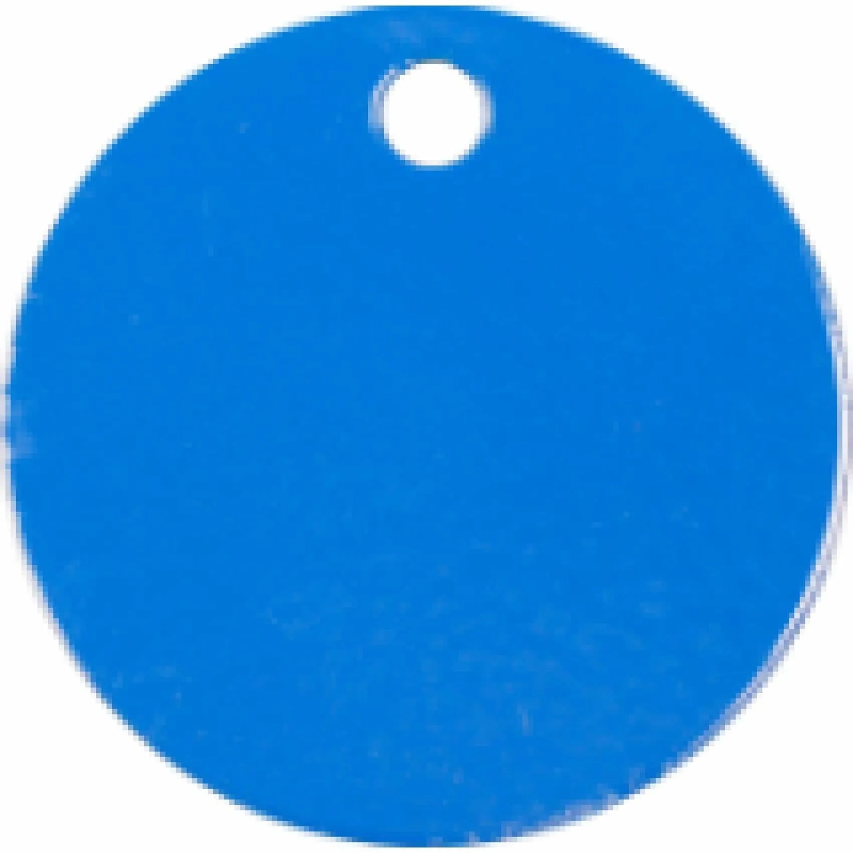 Charm or Pet Tag