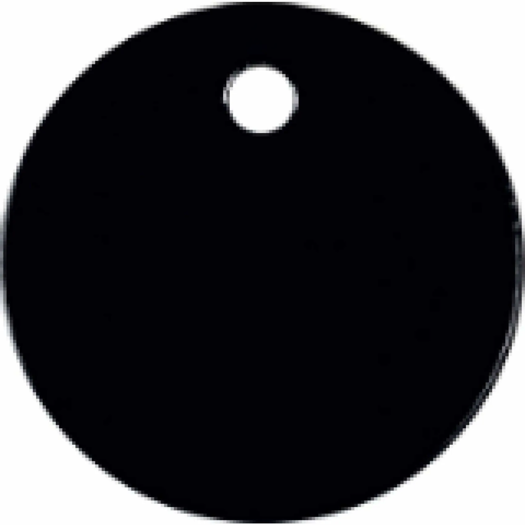 Charm or Pet Tag