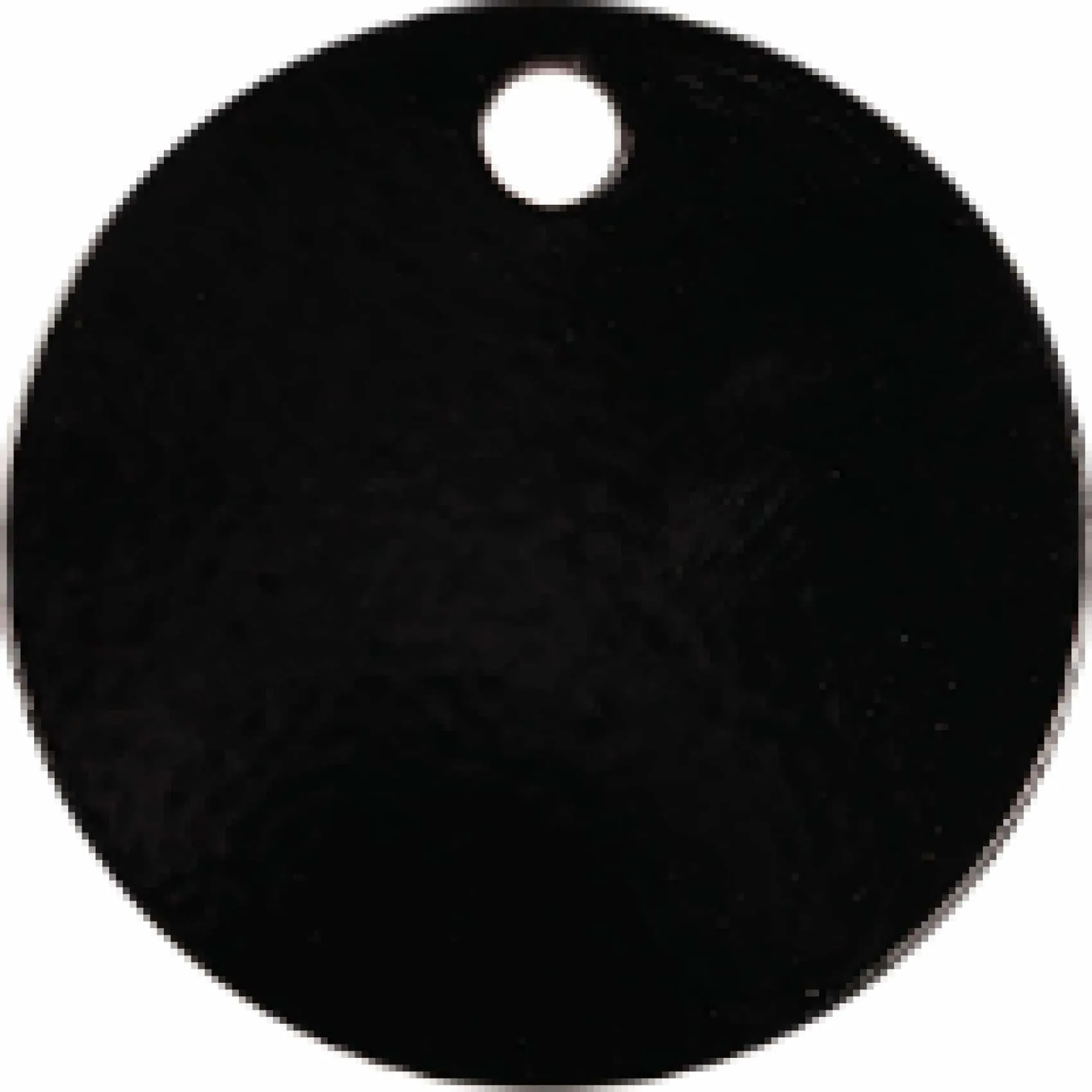 Charm or Pet Tag