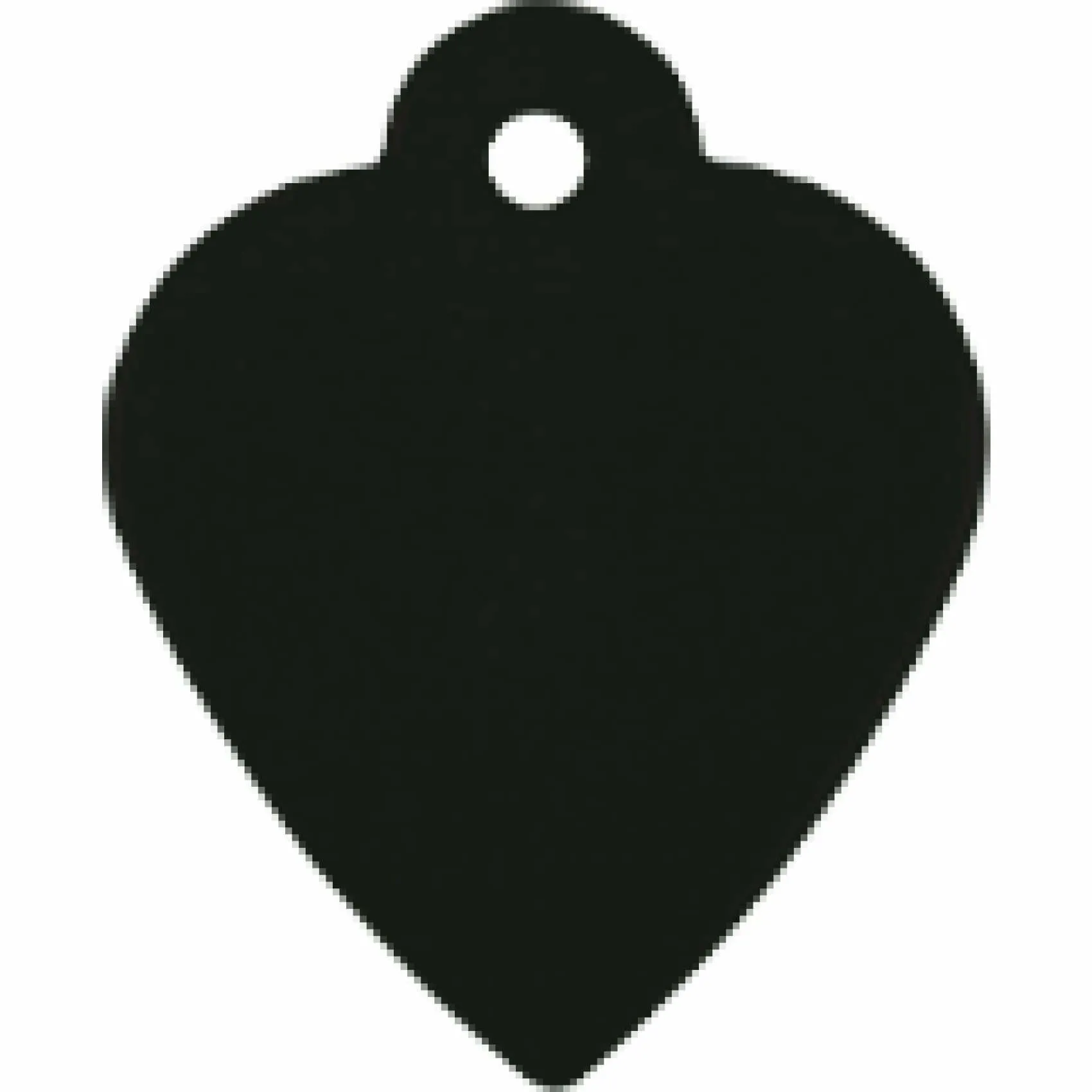 Charm or Pet Tag