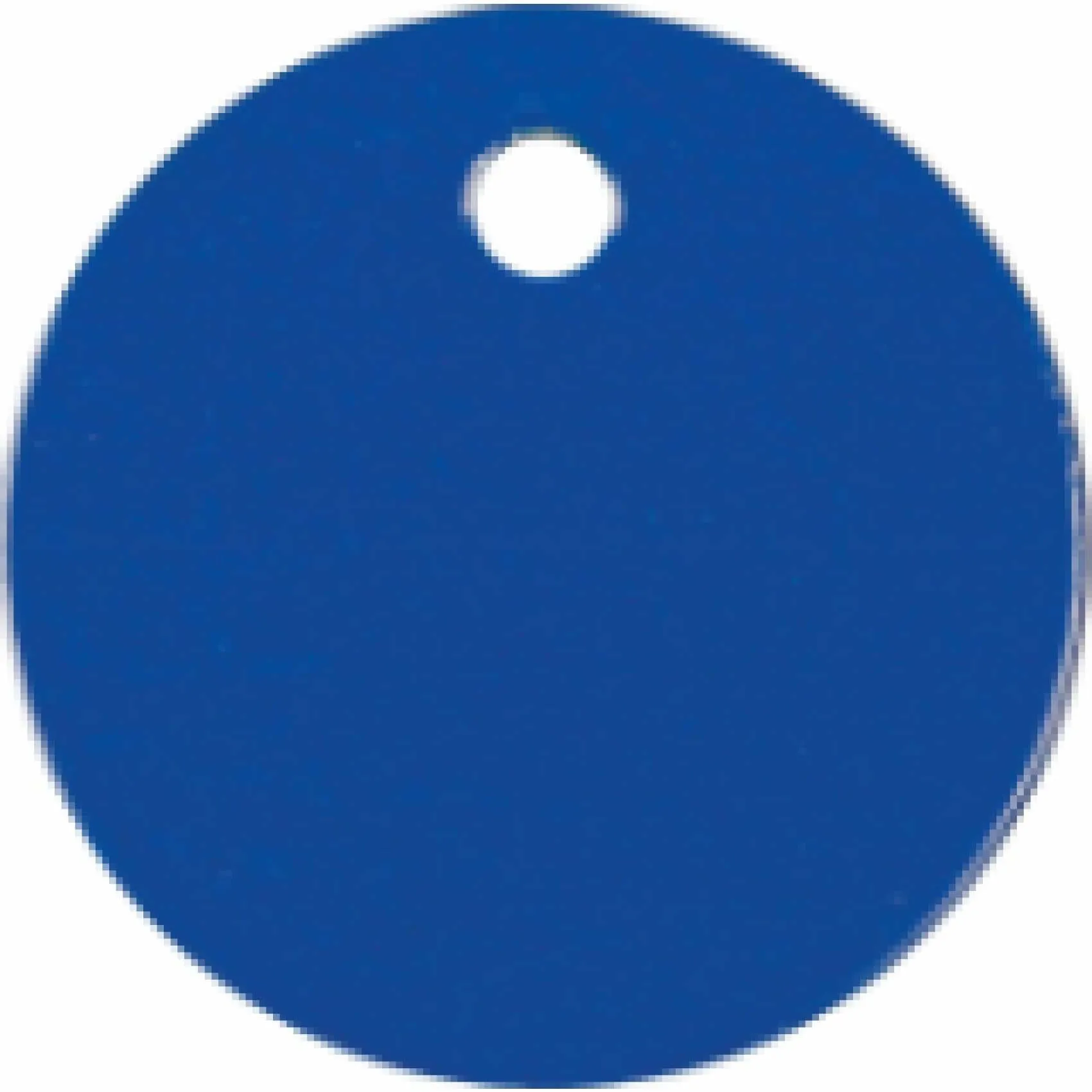 Charm or Pet Tag