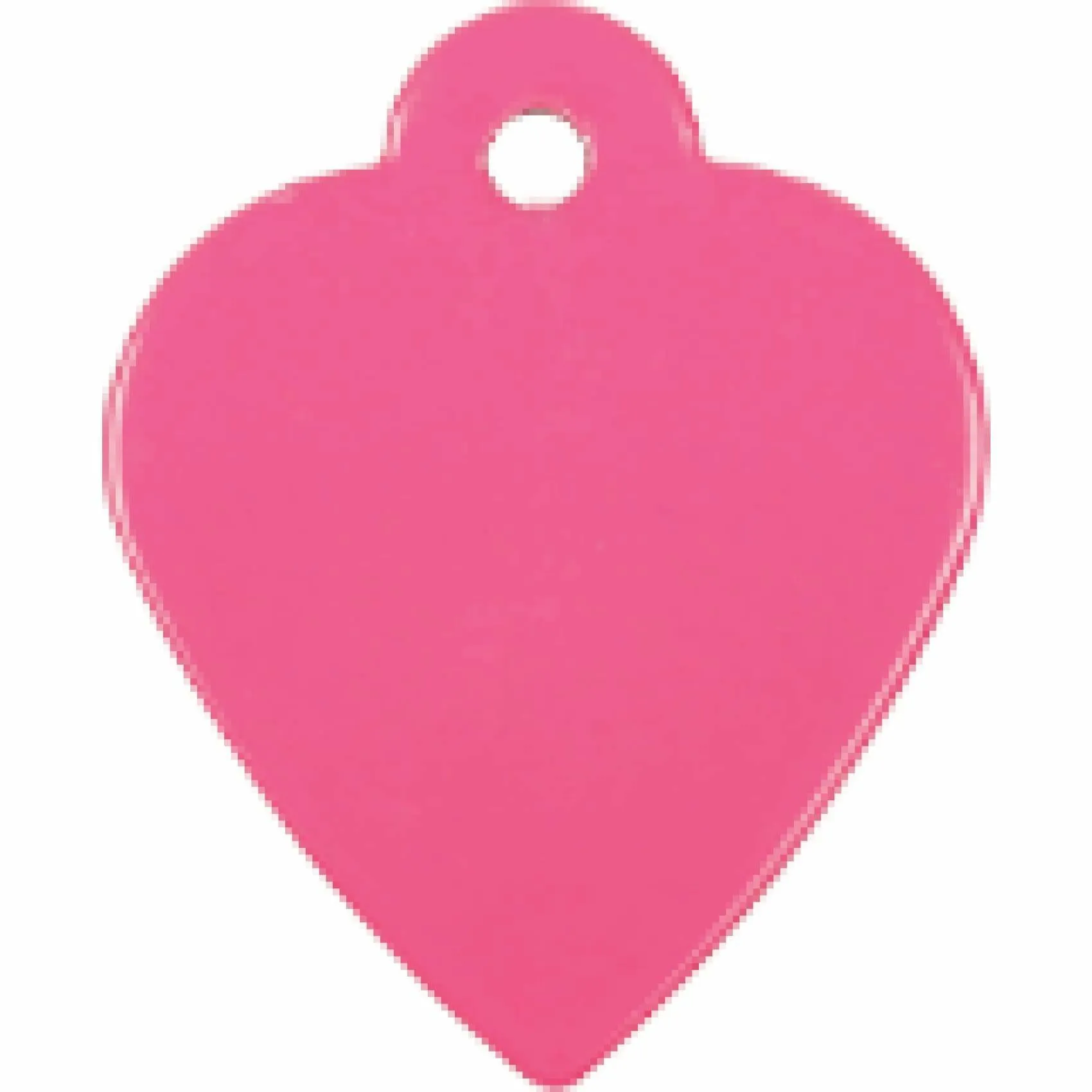 Charm or Pet Tag