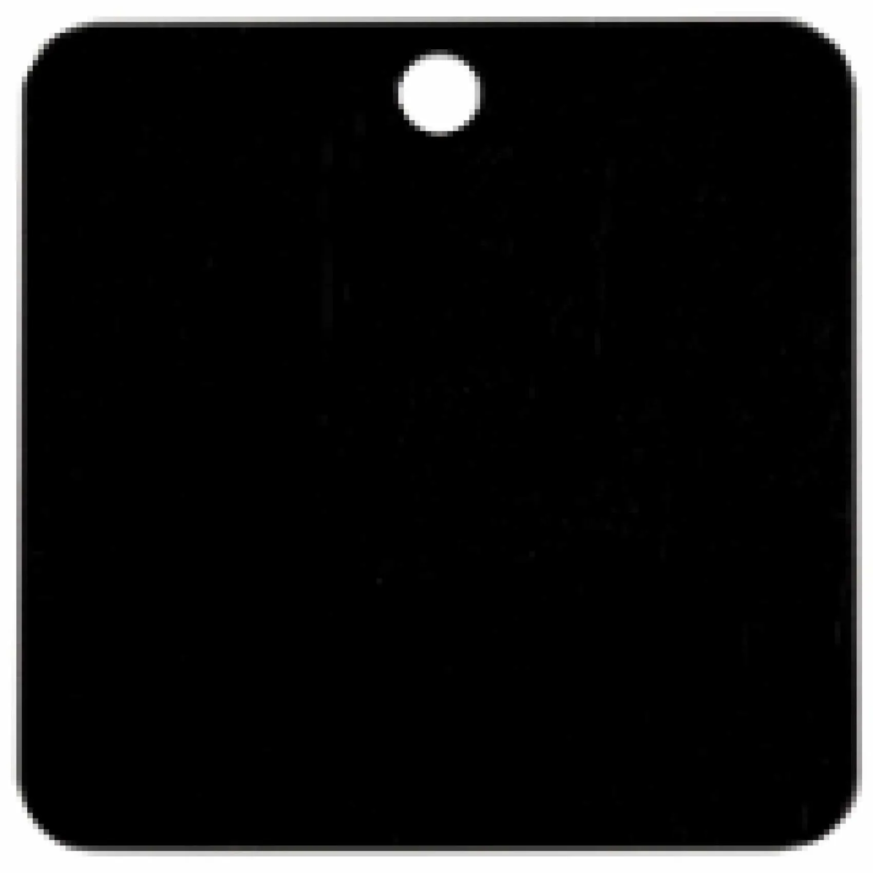 Charm or Pet Tag