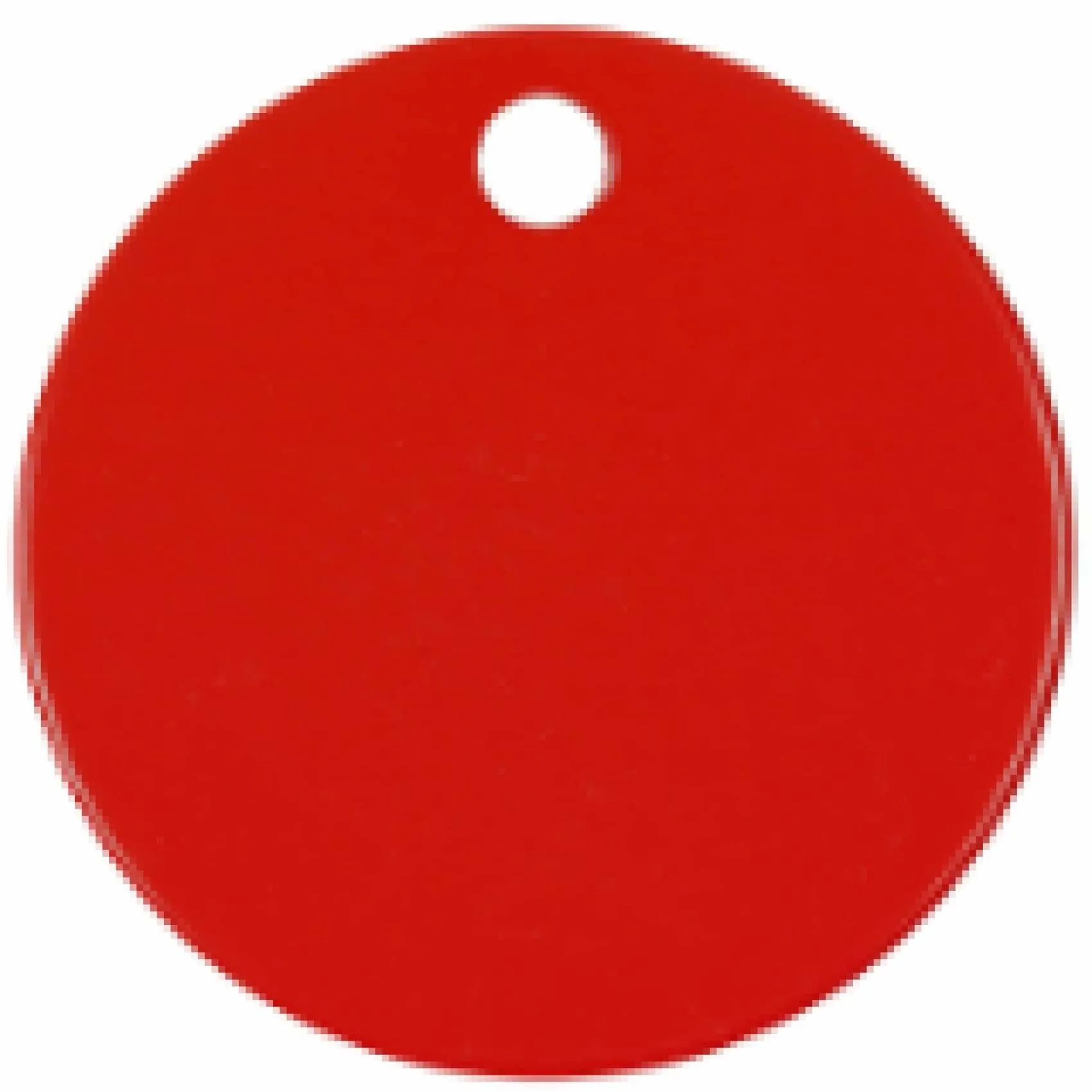 Charm or Pet Tag