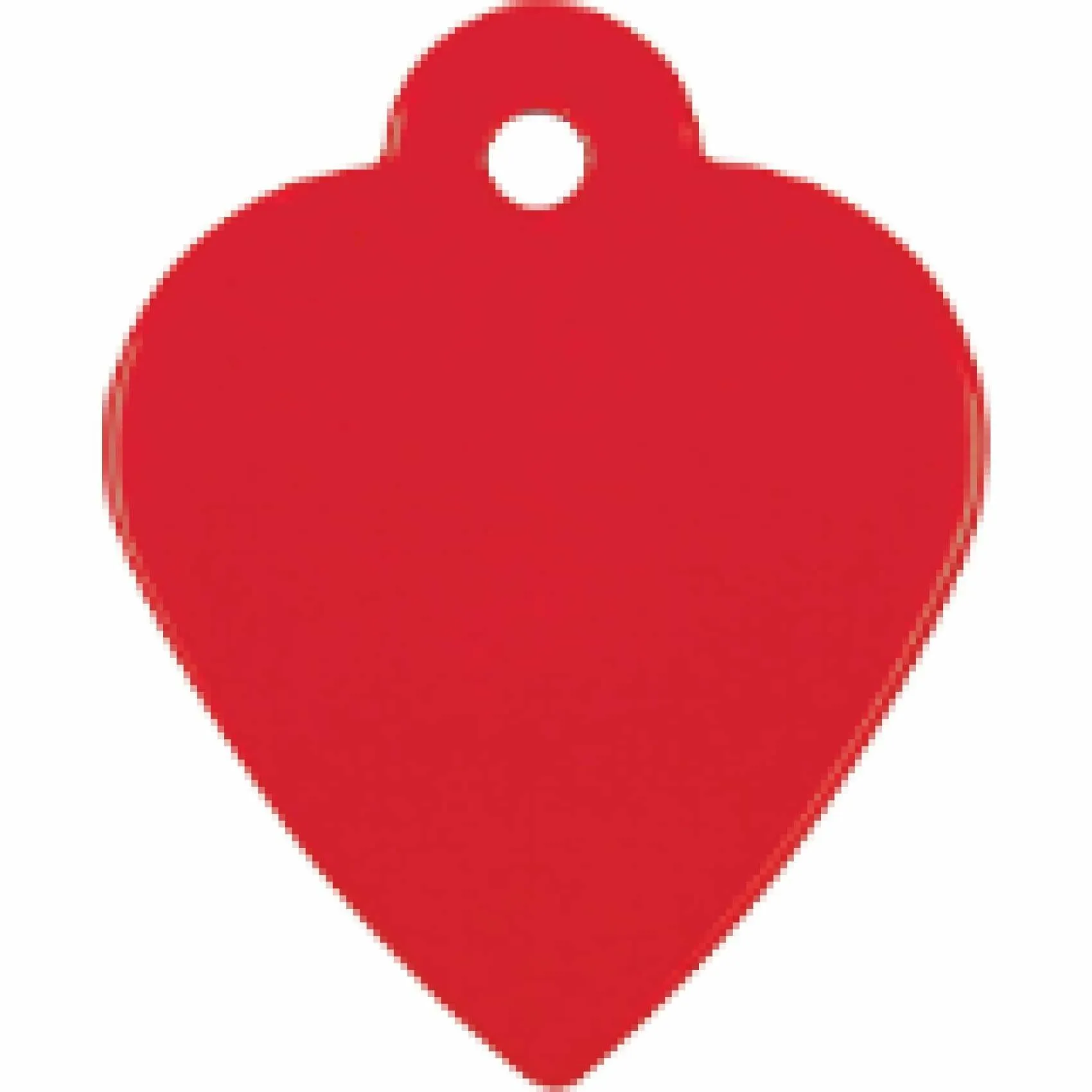 Charm or Pet Tag