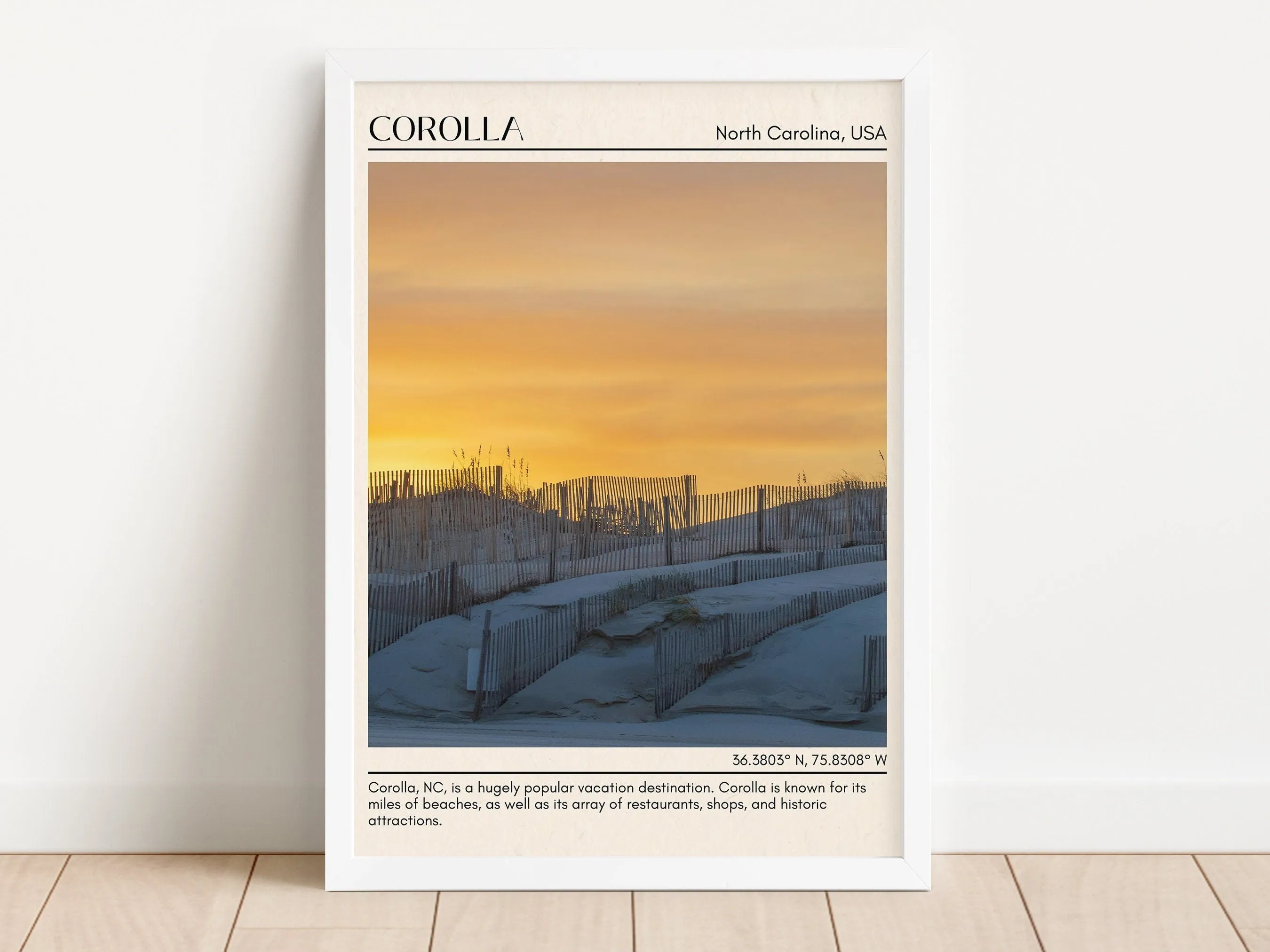 Corolla Wall Canvas, USA