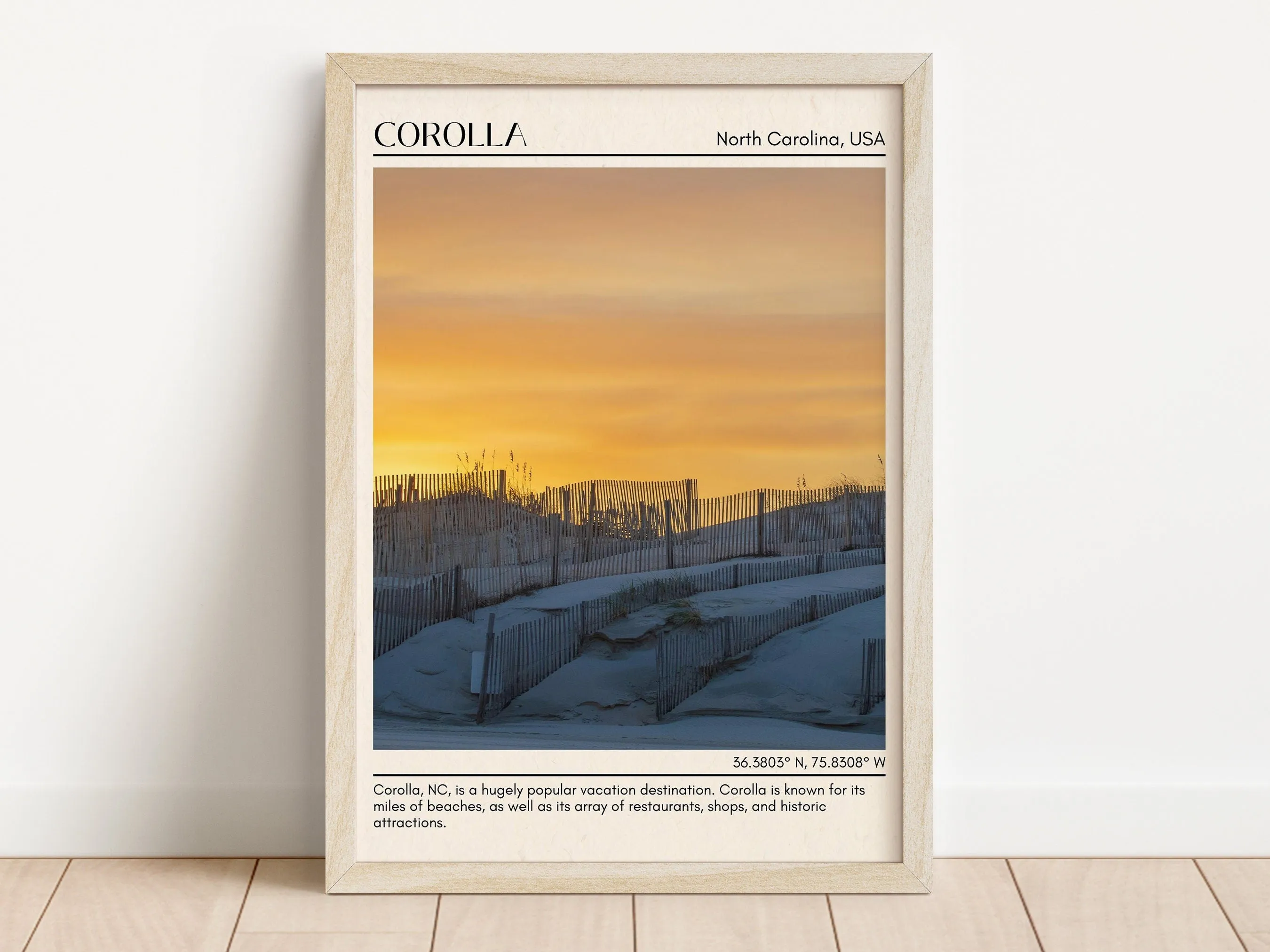 Corolla Wall Canvas, USA