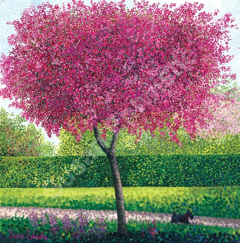 Crab Apple Blossom Limited Edition Print