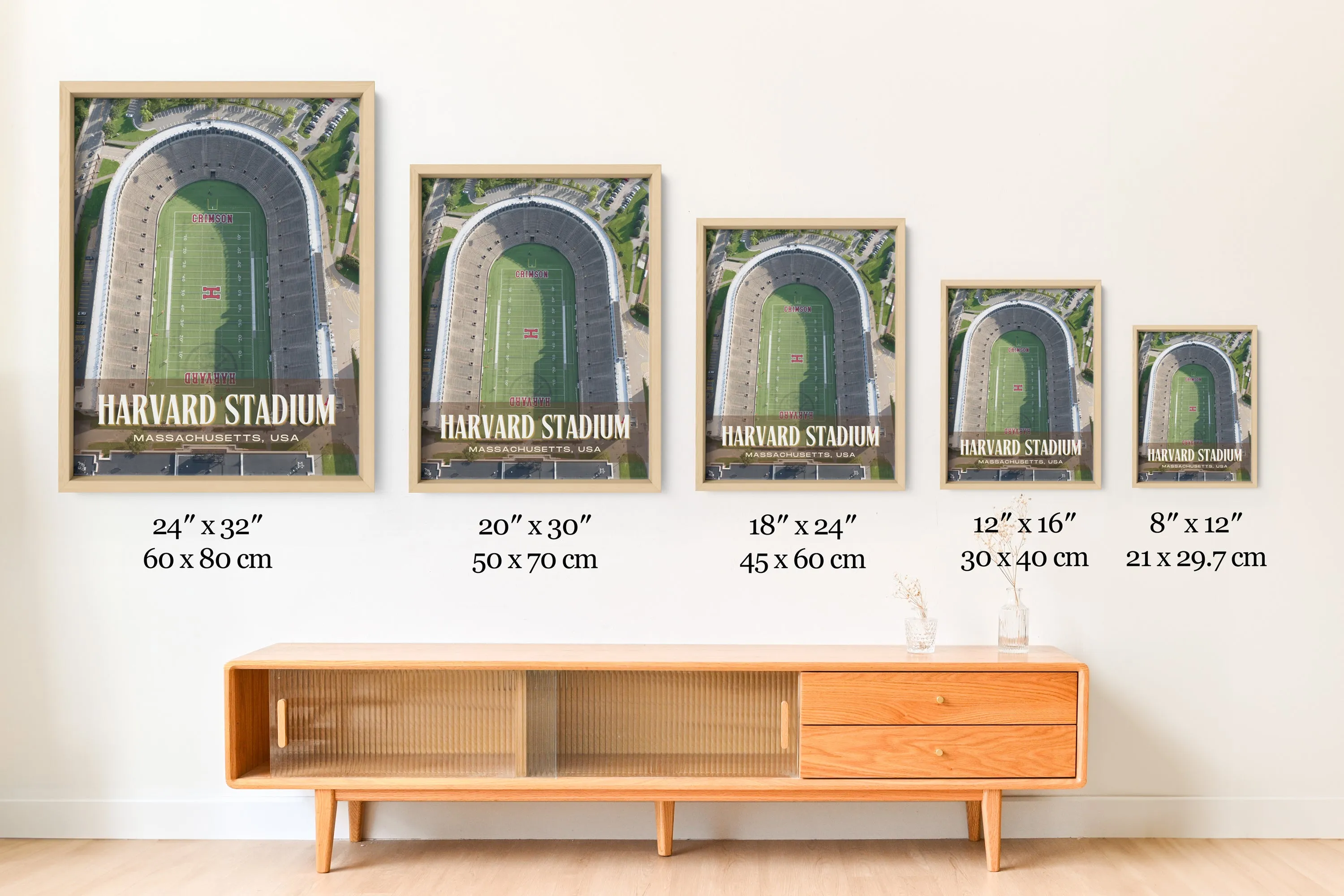Harvard Stadium Football  Wall Art