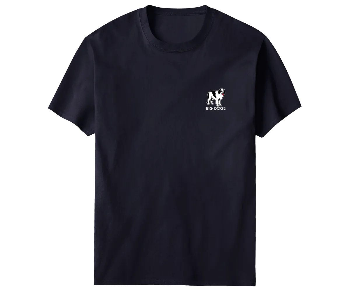 If You Can Not Run Patriotic T-Shirt