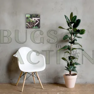 Mantis in Bush Canvas