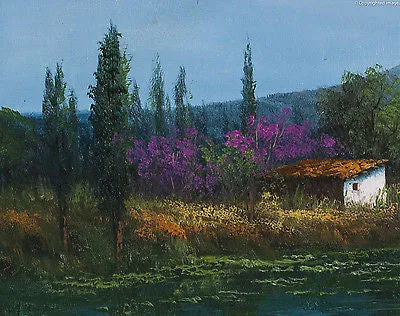 OIL ON CANVAS MEXICAN LANDSCAPE SIGNED NUÑEZ LUNA VULCAN LAKE & HOUSE CP4