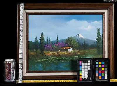 OIL ON CANVAS MEXICAN LANDSCAPE SIGNED NUÑEZ LUNA VULCAN LAKE & HOUSE CP4