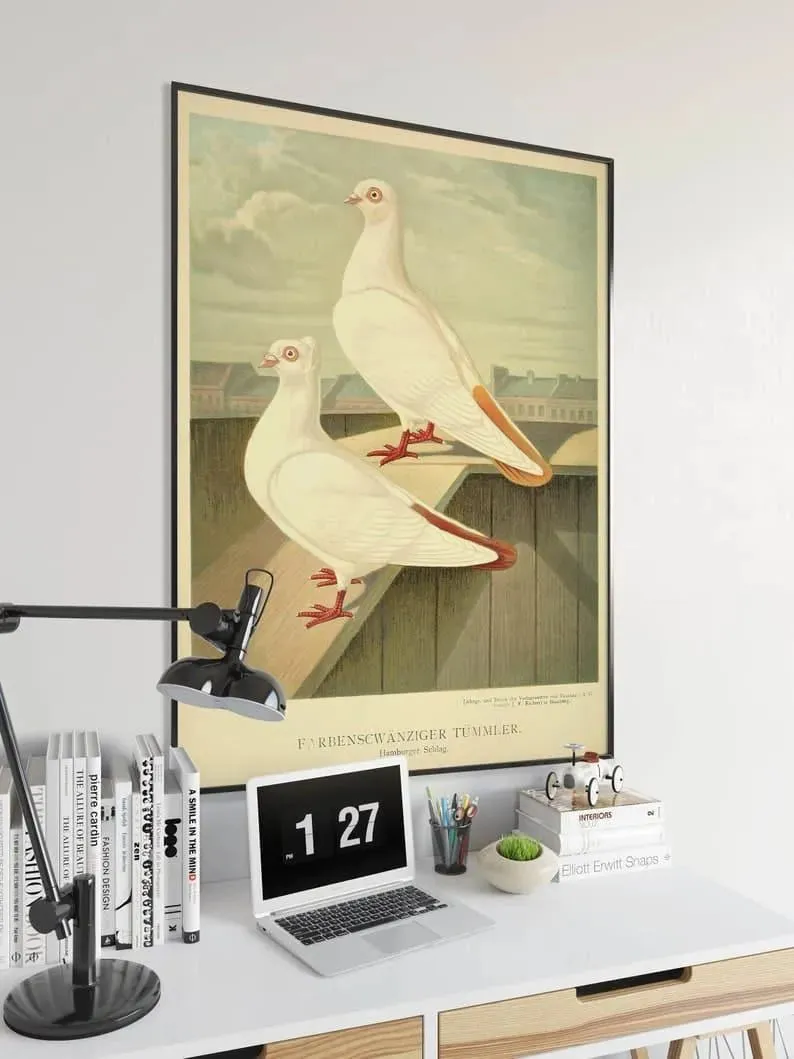 Pigeons Poster Print| Birds Poster