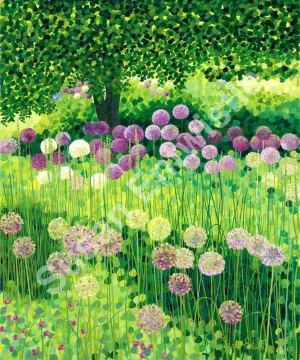 Purple Sensation Limited Edition Print