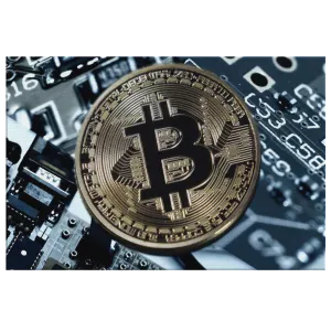 "Bitcoin" Canvas