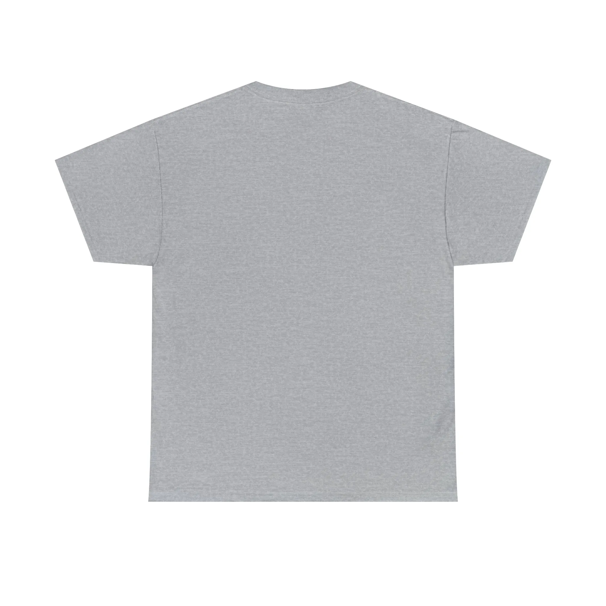 RUN 301 - Unisex Heavy Cotton Tee