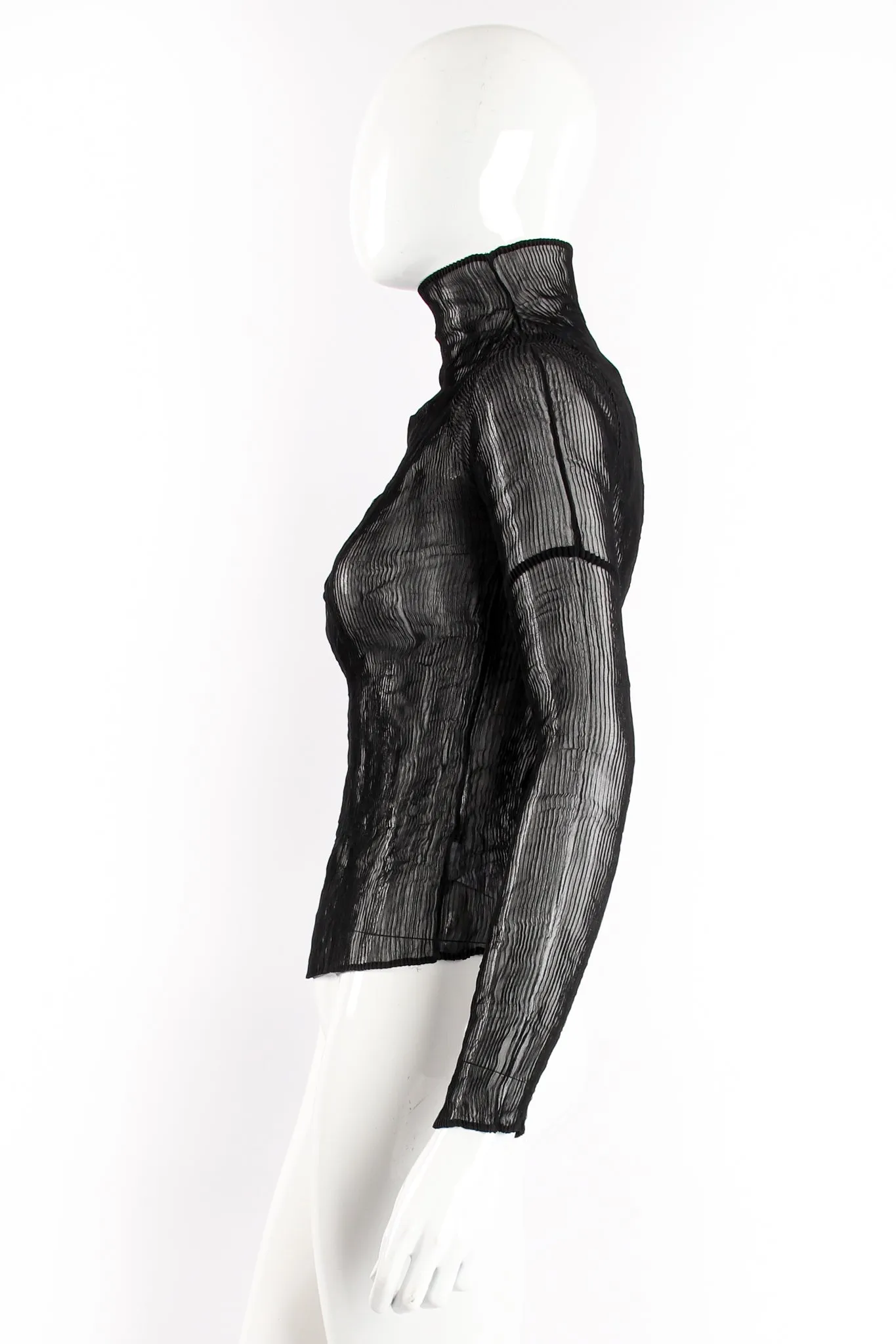 Sheer Pleated Tissue Turtleneck