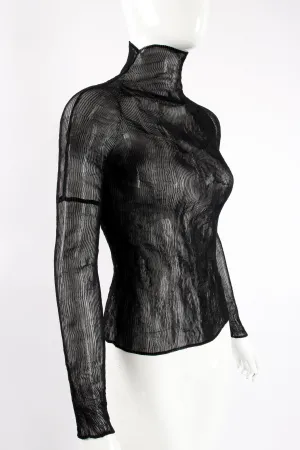Sheer Pleated Tissue Turtleneck