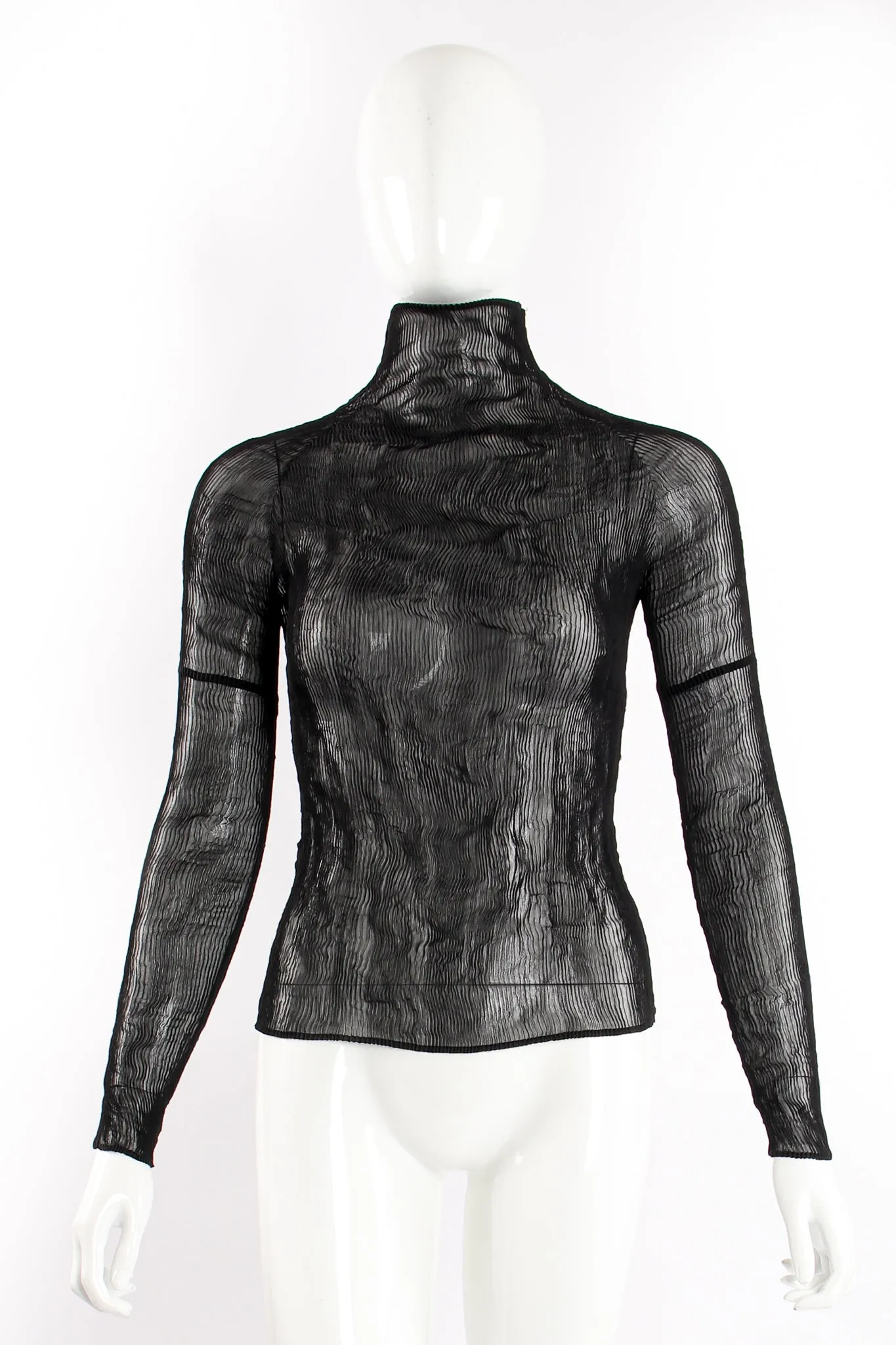 Sheer Pleated Tissue Turtleneck