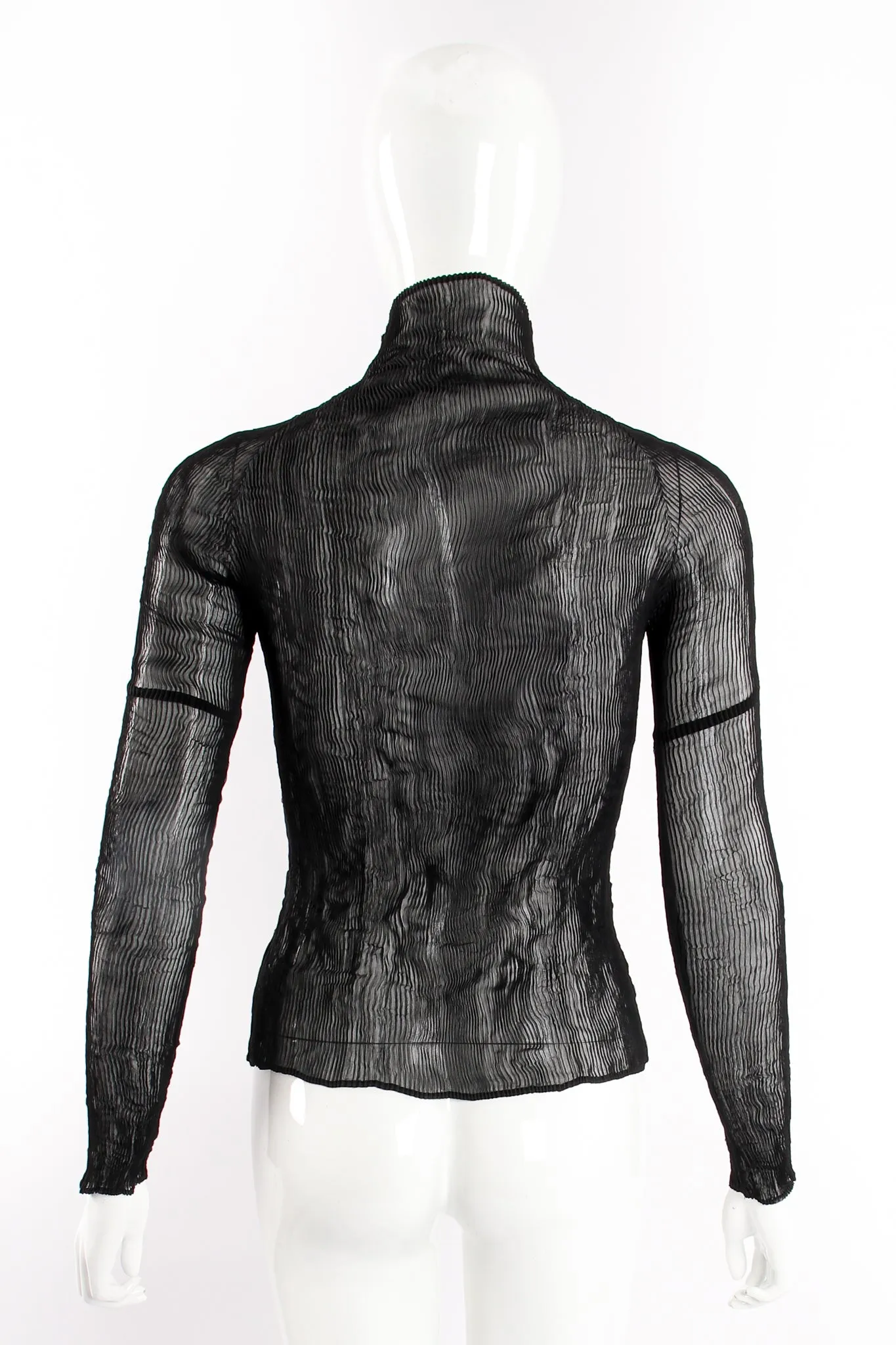 Sheer Pleated Tissue Turtleneck