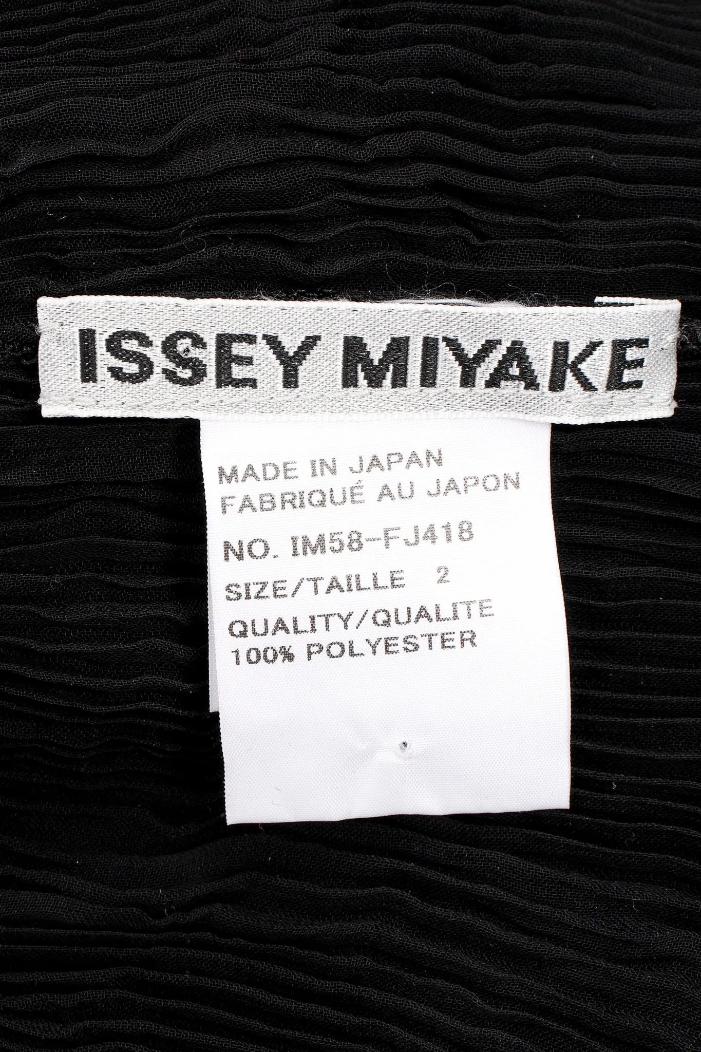 Sheer Pleated Tissue Turtleneck