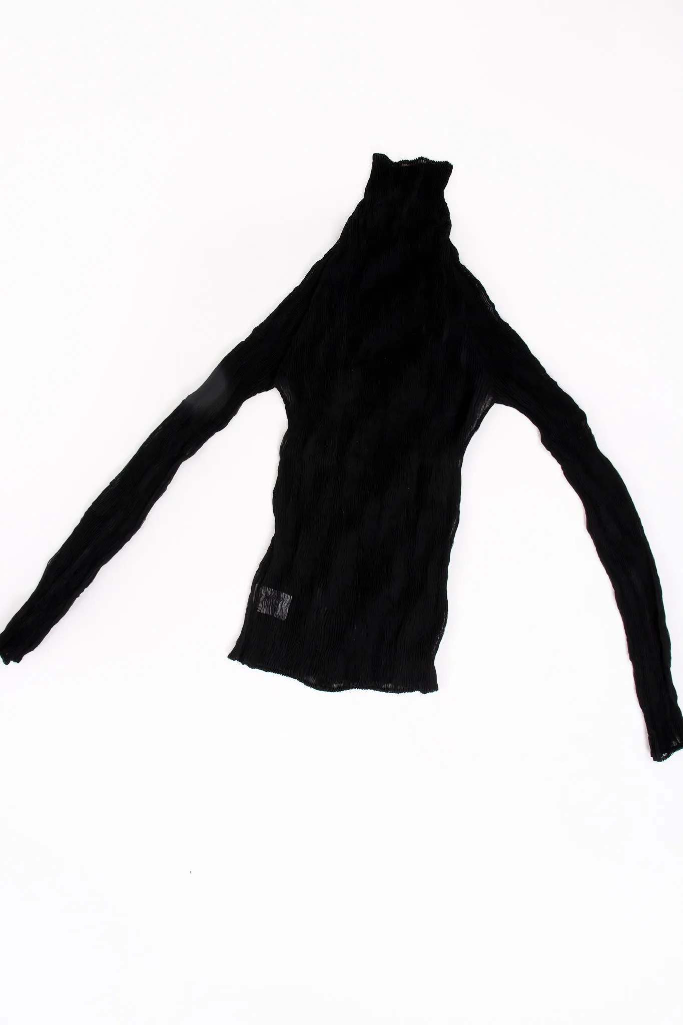 Sheer Pleated Tissue Turtleneck