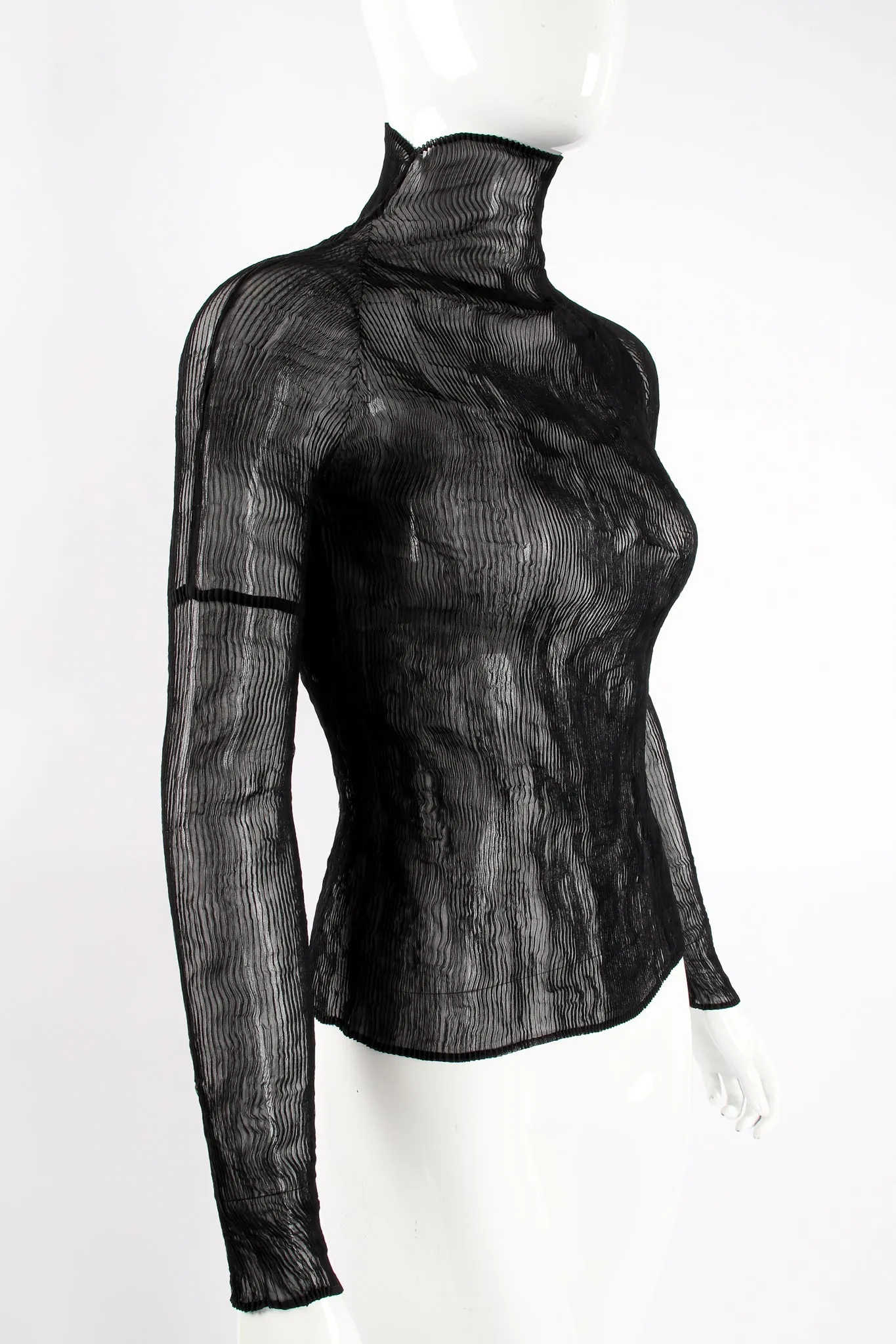 Sheer Pleated Tissue Turtleneck