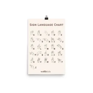 Sign Language ABCs