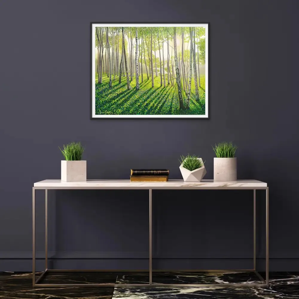 Silver Birch II Limited Edition Print