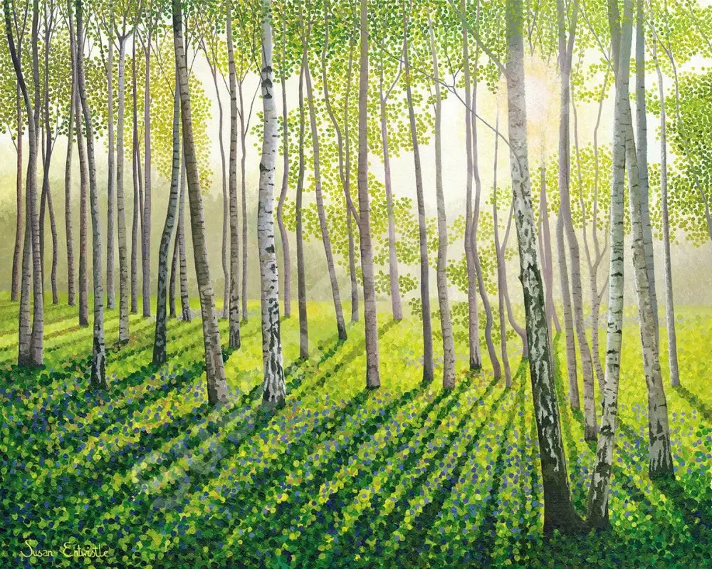Silver Birch II Limited Edition Print