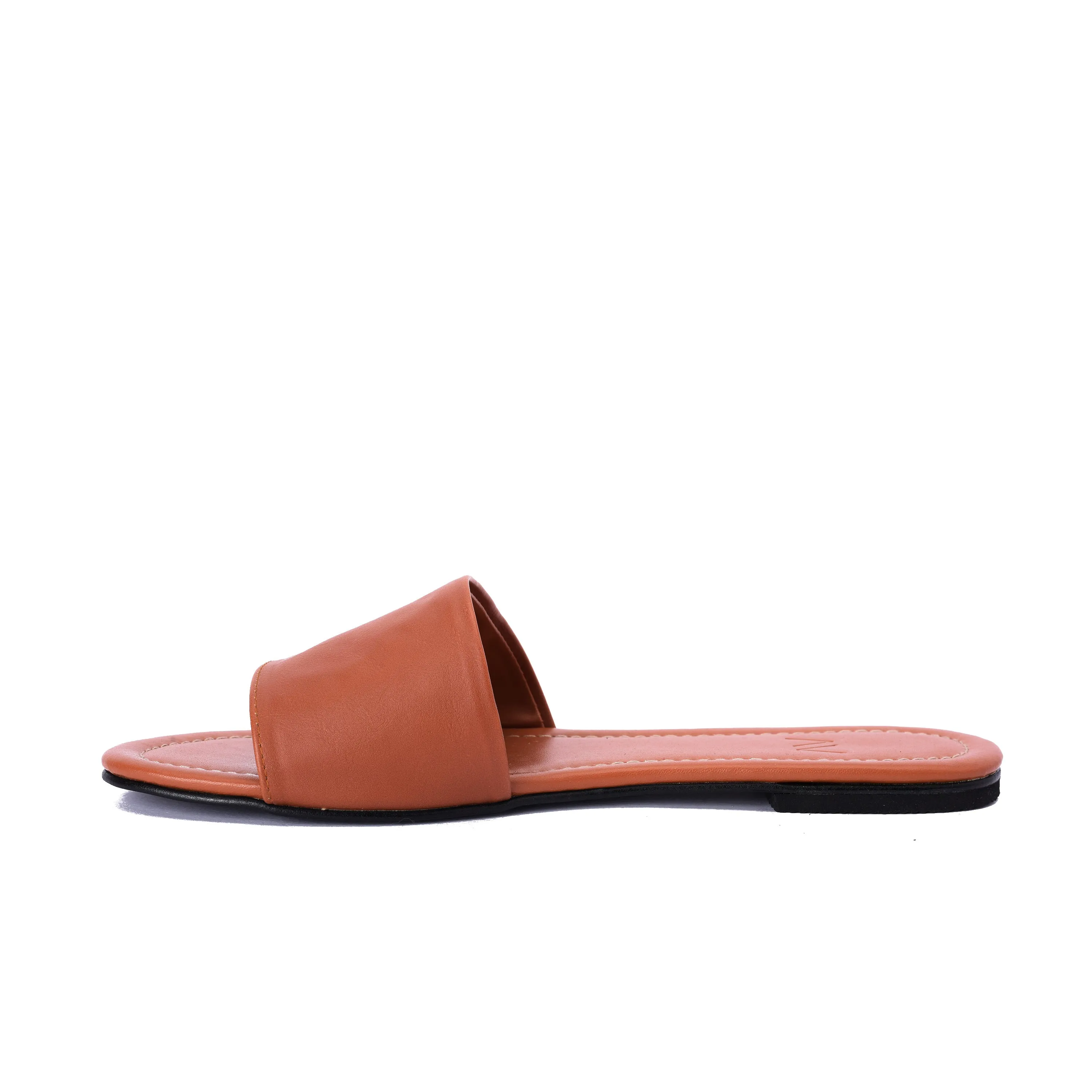 Slippers Palm