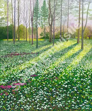 Snowdrops & Cyclamen Limited Edition Print