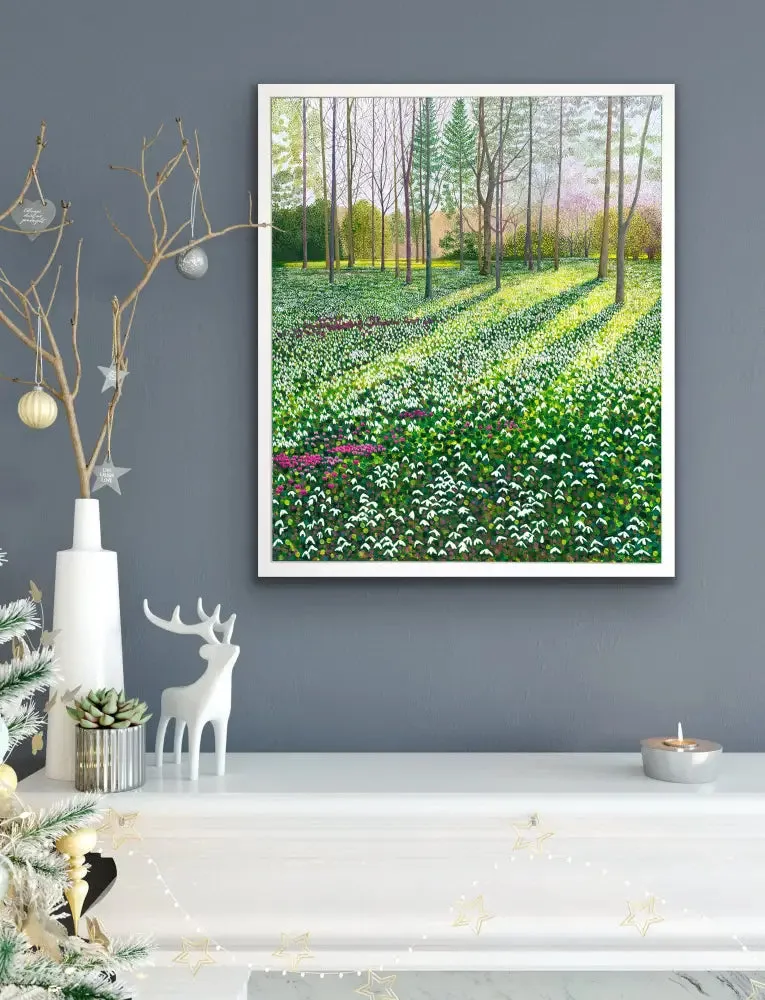 Snowdrops & Cyclamen Limited Edition Print