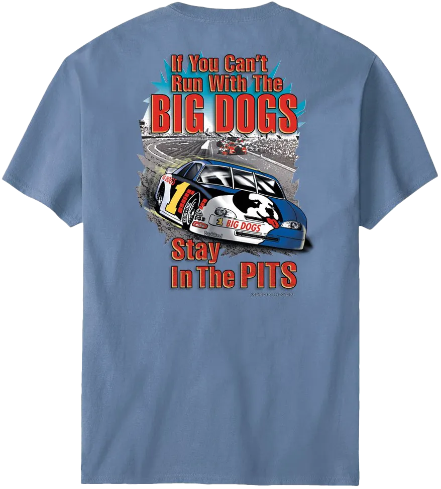 Stay In The Pits Stock Car T-Shirt
